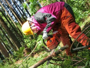 林業女子杉山さま