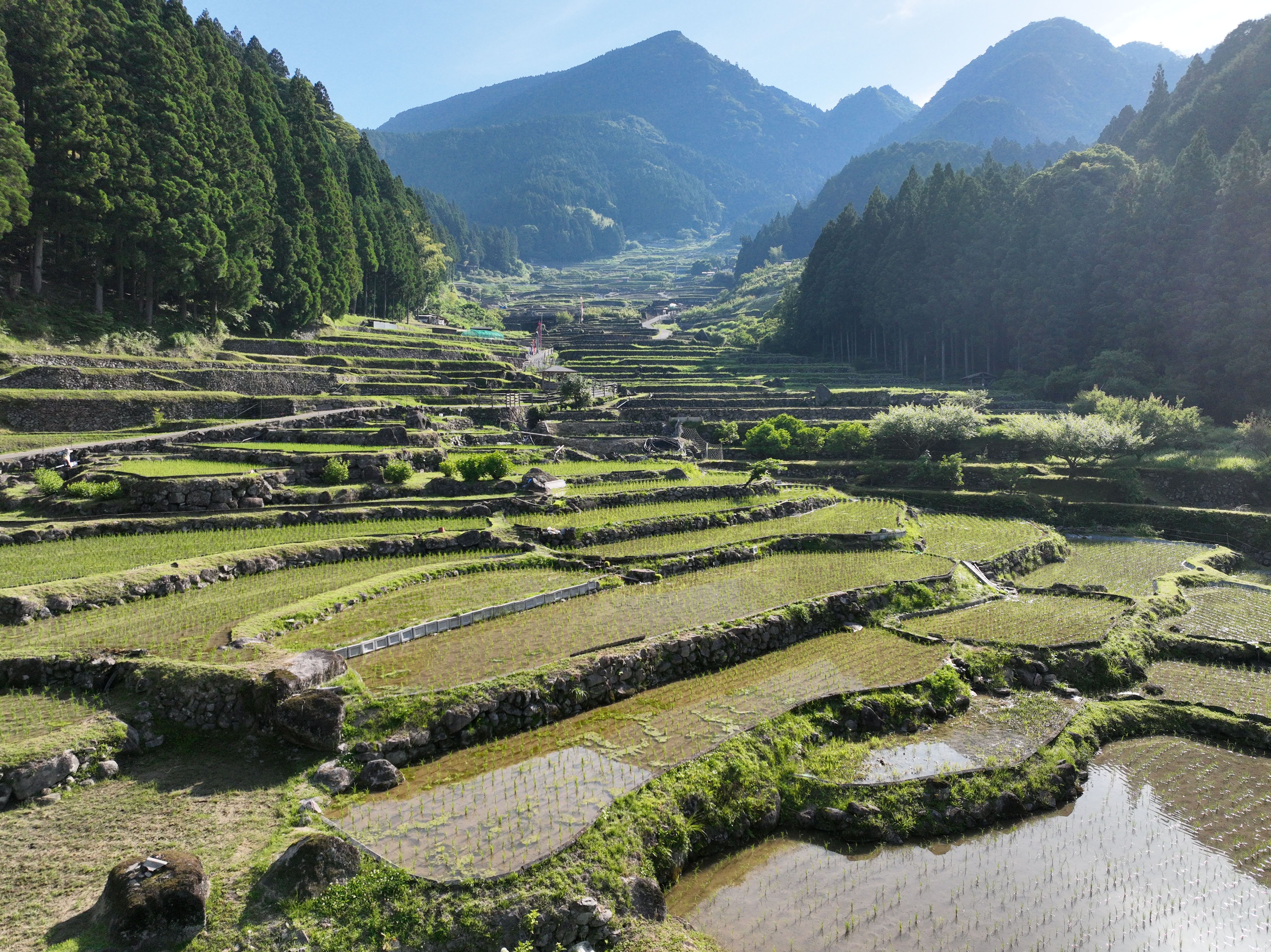 奥三河の地方創生